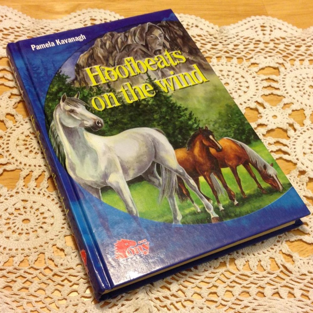 Book Sale! 3 for $10! Pony Book - Hoofbeats on the Wind, Middle Grades